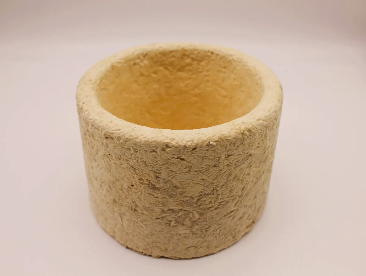 Pot de fleurs en mycélium cultivé à l'atelier