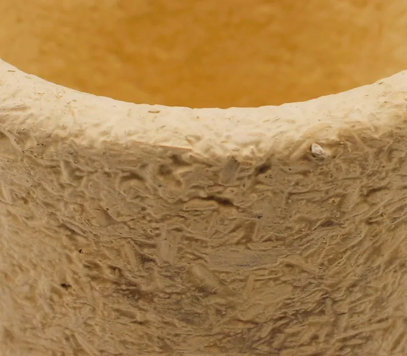 Gros plan sur la texture d'un pot en mycélium